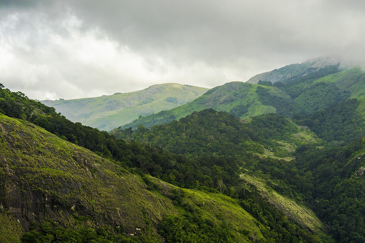 Nelliyampathy Cloud Hills and Valley View